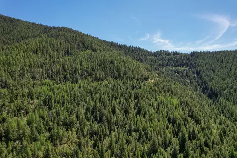 Tract 1 Pardee Flat Road, Superior, MT 59872 photo 16