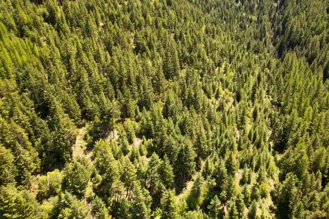 Tract 1 Pardee Flat Road, Superior, MT 59872 photo 15