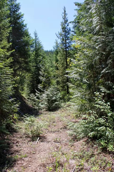 Tract 1 Pardee Flat Road, Superior, MT 59872 photo 13