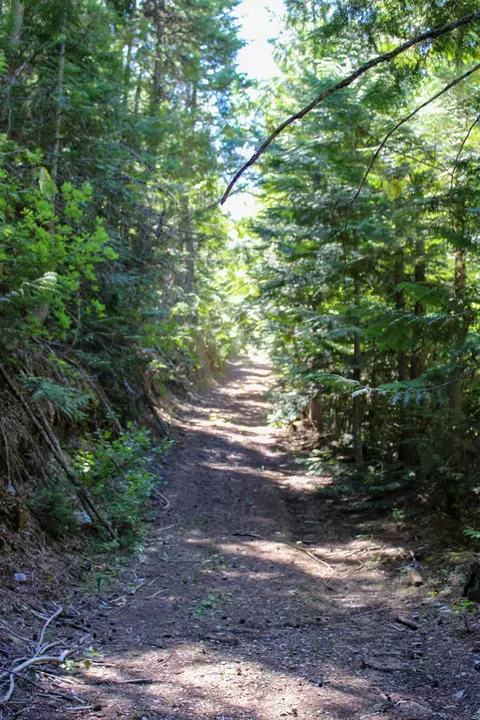 Tract 1 Pardee Flat Road, Superior, MT 59872 photo 29