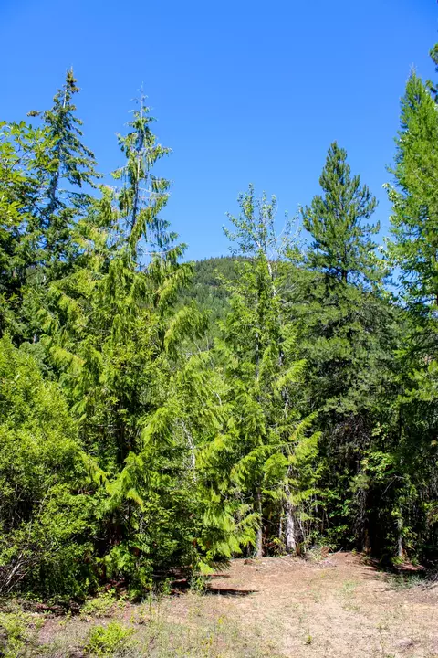 Tract 1 Pardee Flat Road, Superior, MT 59872 photo 27