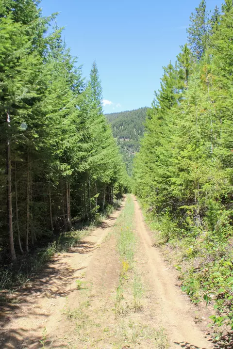 Tract 1 Pardee Flat Road, Superior, MT 59872 photo 11