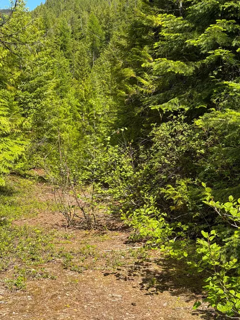 Tract 1 Pardee Flat Road, Superior, MT 59872 photo 35