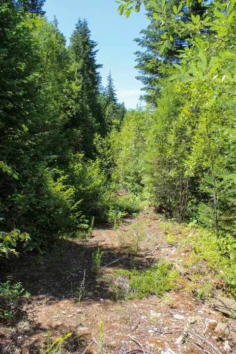 Tract 1 Pardee Flat Road, Superior, MT 59872 photo 32