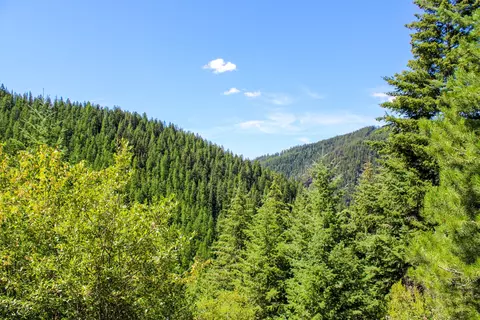 Tract 1 Pardee Flat Road, Superior, MT 59872 photo 2