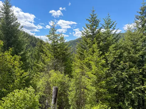 Tract 1 Pardee Flat Road, Superior, MT 59872 photo 7