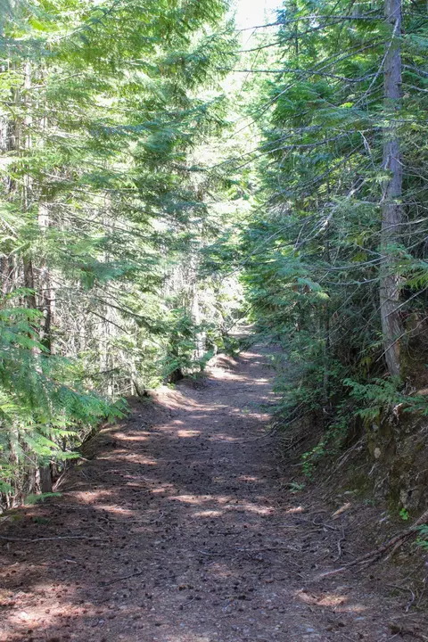 Tract 1 Pardee Flat Road, Superior, MT 59872 photo 28
