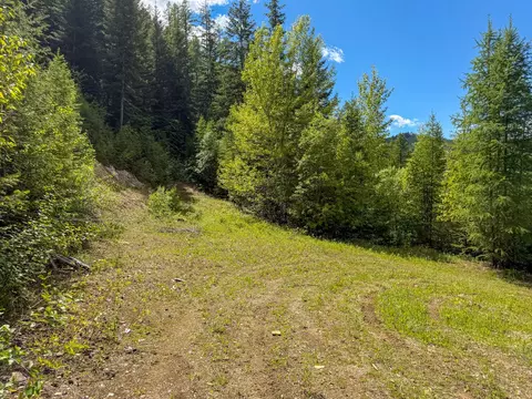 Tract 1 Pardee Flat Road, Superior, MT 59872 photo 5