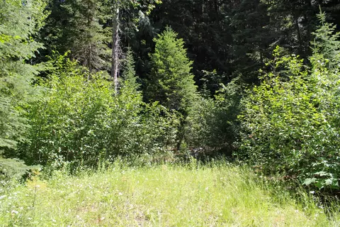 Tract 1 Pardee Flat Road, Superior, MT 59872 photo 30