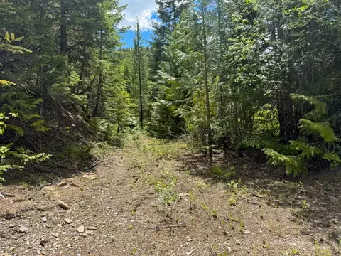 Tract 1 Pardee Flat Road, Superior, MT 59872 photo 12