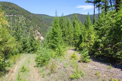 Tract 1 Pardee Flat Road, Superior, MT 59872 photo 10