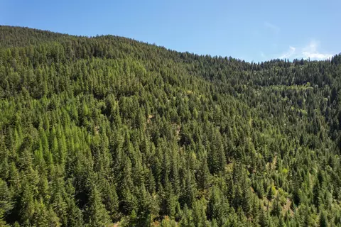 Tract 1 Pardee Flat Road, Superior, MT 59872 photo 14