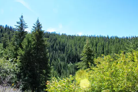 Tract 1 Pardee Flat Road, Superior, MT 59872 photo 9