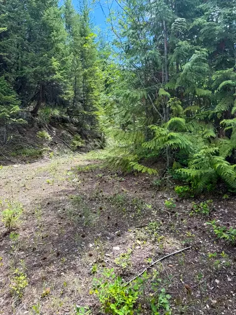 Tract 1 Pardee Flat Road, Superior, MT 59872 photo 33