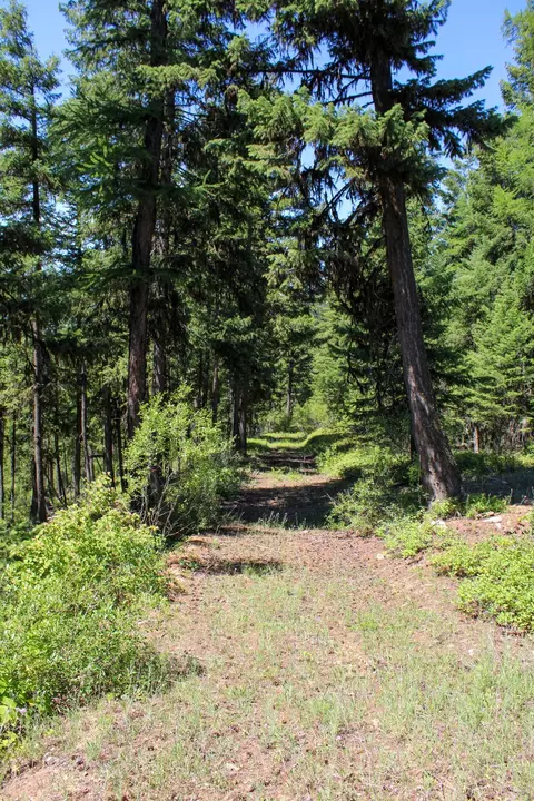 Tract 1 Pardee Flat Road, Superior, MT 59872 photo 8