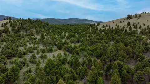 Bald Hill Lode, Basin, MT 59631 photo 16