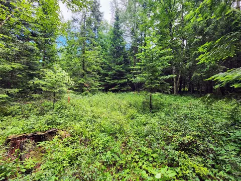 13727 Big Hawk Dr, Bigfork, MT 59911 photo 31