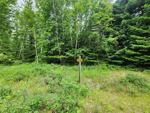 13727 Big Hawk Dr, Bigfork, MT 59911 photo 3