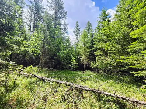 13727 Big Hawk Dr, Bigfork, MT 59911 photo 4