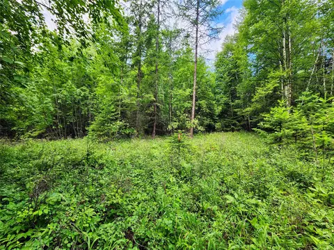 13727 Big Hawk Dr, Bigfork, MT 59911 photo 23