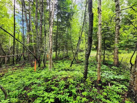13727 Big Hawk Dr, Bigfork, MT 59911 photo 32