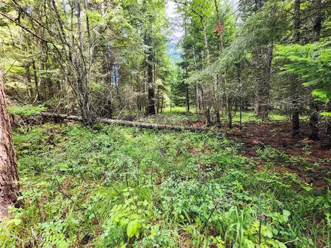 13727 Big Hawk Dr, Bigfork, MT 59911 photo 33