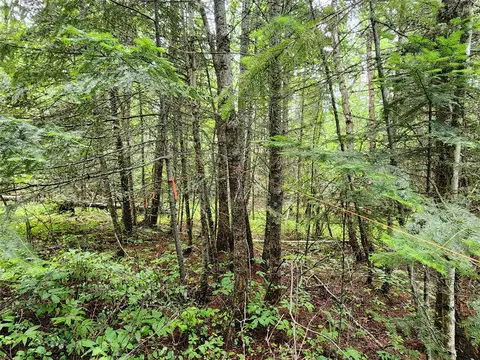 13727 Big Hawk Dr, Bigfork, MT 59911 photo 29