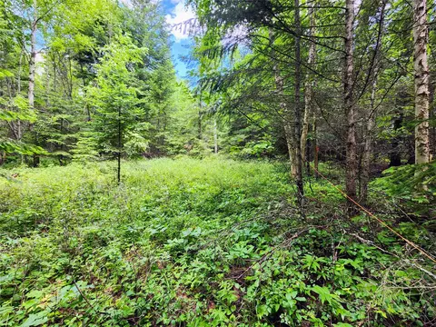 13727 Big Hawk Dr, Bigfork, MT 59911 photo 30