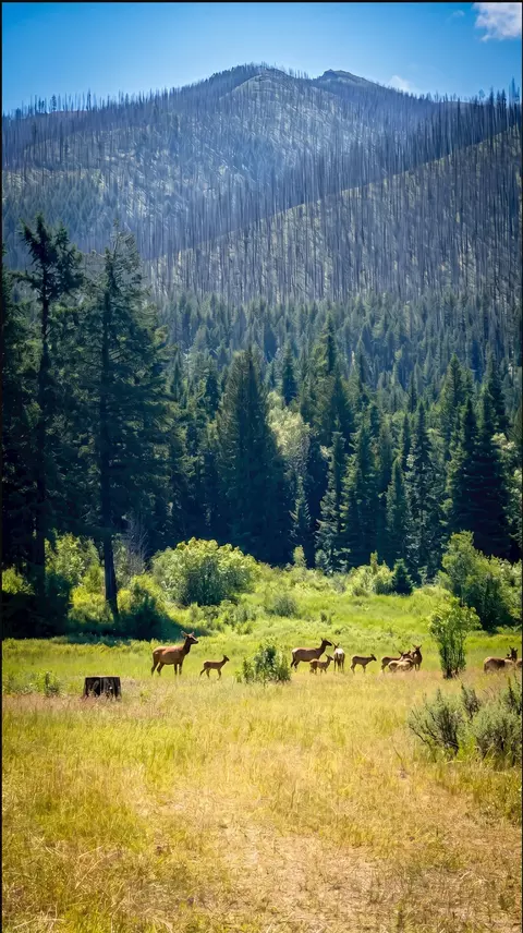 tbd Eastside Rd, Troy, MT 59935 photo 14