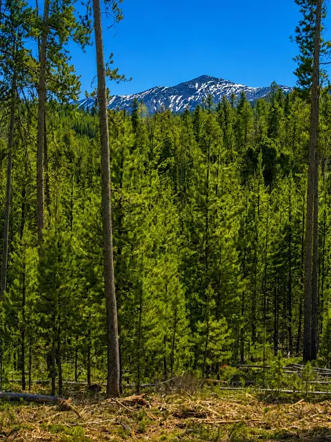 lot8 Tbd Mitchell Ln, Anaconda, MT 59711