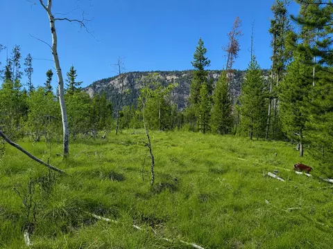lot26 Tbd Mitchell Dr, Anaconda, MT 59711