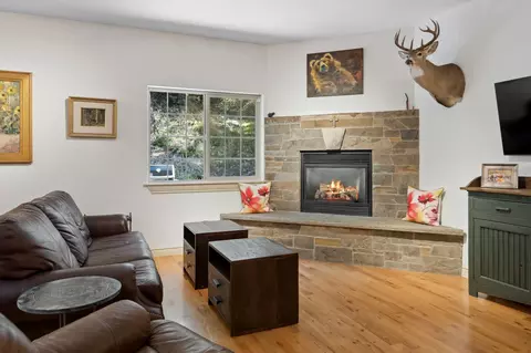 Living - 278 Eagle Bend Dr, Bigfork, MT 59911 photo 1 of 4