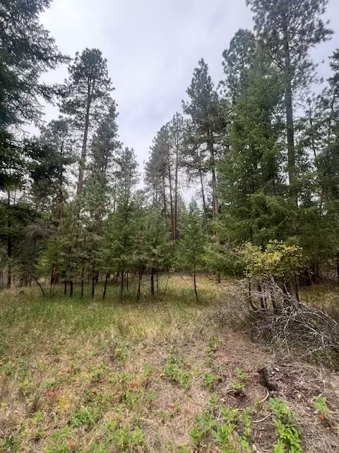 300 Lynx Dr, Polson, MT 59860 photo 9