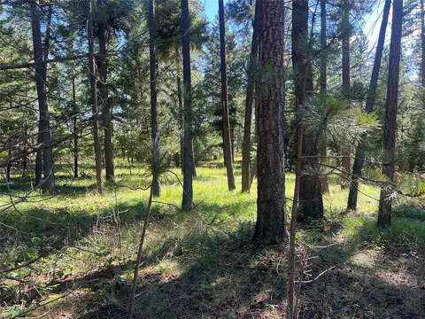 300 Lynx Dr, Polson, MT 59860 photo 16