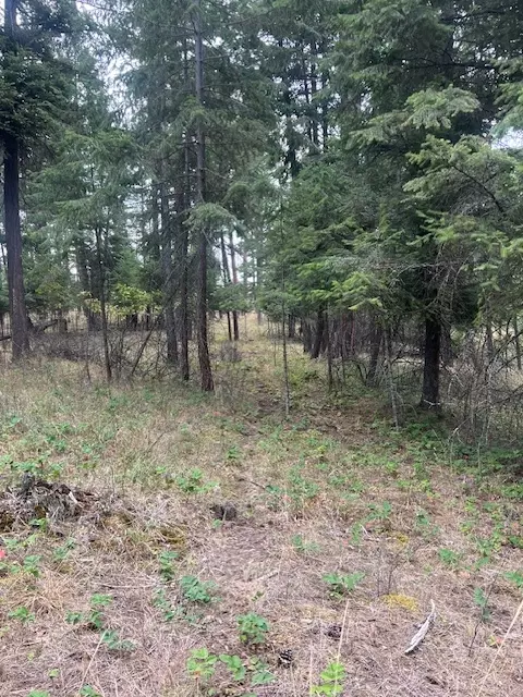 300 Lynx Dr, Polson, MT 59860 photo 8