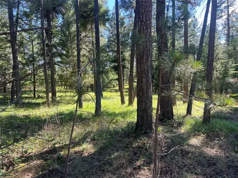 300 Lynx Dr, Polson, MT 59860 photo 15