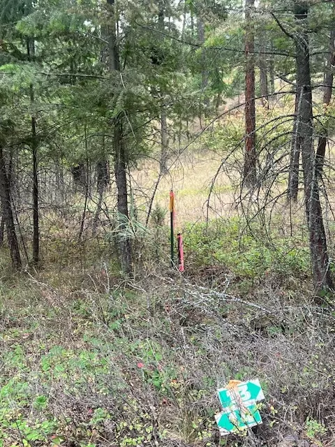 300 Lynx Dr, Polson, MT 59860 photo 10