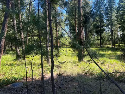 300 Lynx Dr, Polson, MT 59860 photo 20