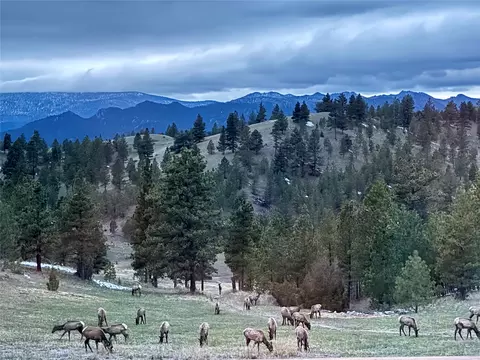 Undisclosed, Helena, MT 59601