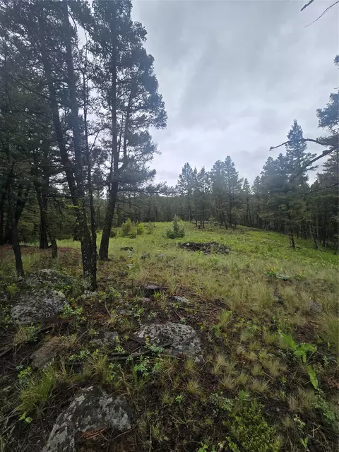 60 Snowberry Ln, Drummond, MT 59832