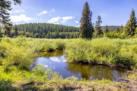 Nhn Fortine Creek Road, Trego, MT 59934