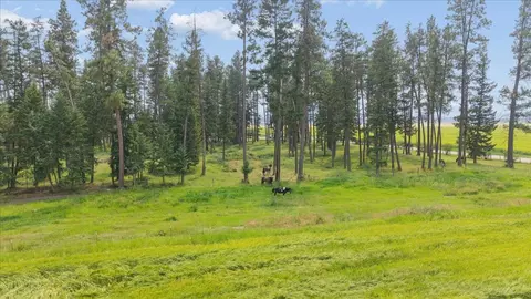 Other - 480 Egan Rd, Kalispell, MT 59901 photo 18 of 18