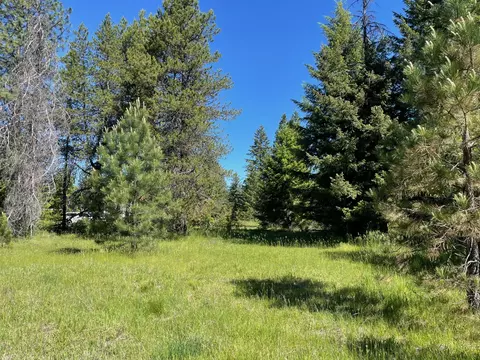 Nhn S Shore Drive, Trout Creek, MT 59874