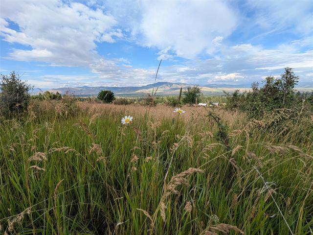 Nhn W Carlton Creek Road, Florence, MT 59833