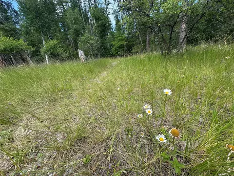 Other - 13643 Sundance Trl, Bigfork, MT 59911 photo 4 of 7