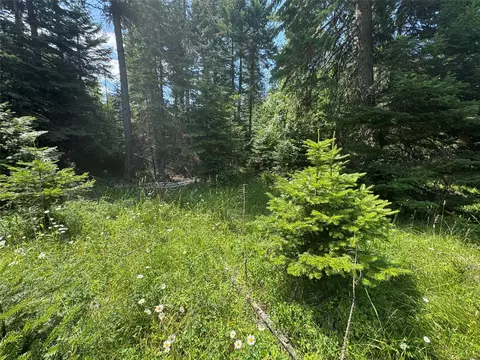 Exterior - 13643 Sundance Trl, Bigfork, MT 59911 photo 5 of 12