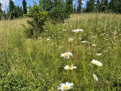 Other - 13643 Sundance Trl, Bigfork, MT 59911 photo 1 of 7