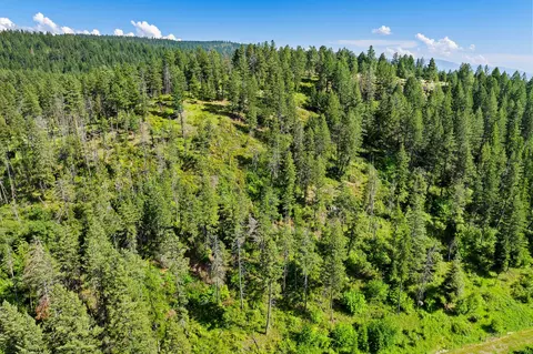 Other - 338 Flathead Lodge Rd, Bigfork, MT 59911 photo 12 of 12