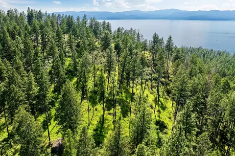 View/Area - 338 Flathead Lodge Rd, Bigfork, MT 59911 photo 23 of 24