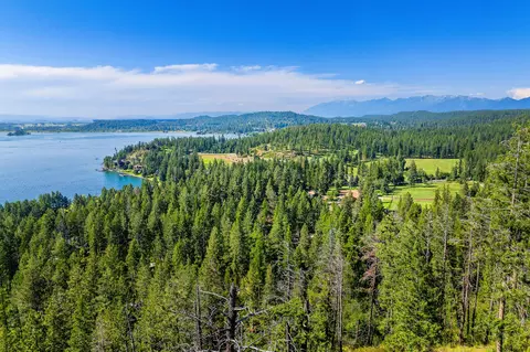 View/Area - 338 Flathead Lodge Rd, Bigfork, MT 59911 photo 22 of 24